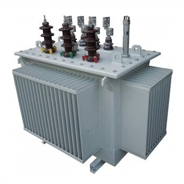 Trasfhoirmeoir Tumtha Ola 10kv